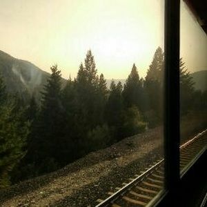 Meet your Posher, Bella